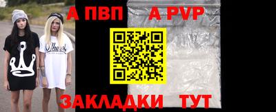 стафф Донской