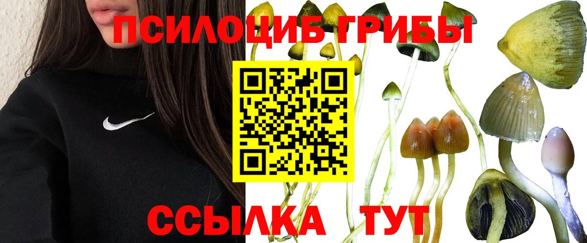 Галлюциногенные грибы ЛСД  Вход с VPN  Городец 